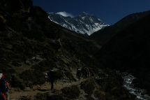 IMG_8166 Gruppe mit Lhotse.jpg